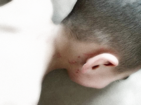 تعنيف طفل بحضانة في أم الفحم